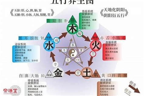 水木五行|五行木和水